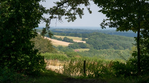 A summer view from Mariners Hill, a National Trust countryside site in Kent